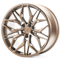 Диски WS Forged WS-041C 10,0x20 PCD5x120 ET33 D74,1 SATIN_BRONZE_FORGED