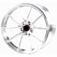 Диски WS Forged WS-016M 9,0x19 PCD5x112 ET25 D66,5 BRUSHED_SILVER_FORGED