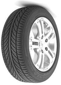 Bridgestone Potenza RE950