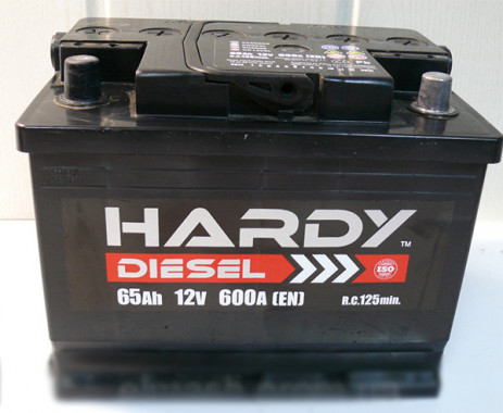HARDY DISEL
