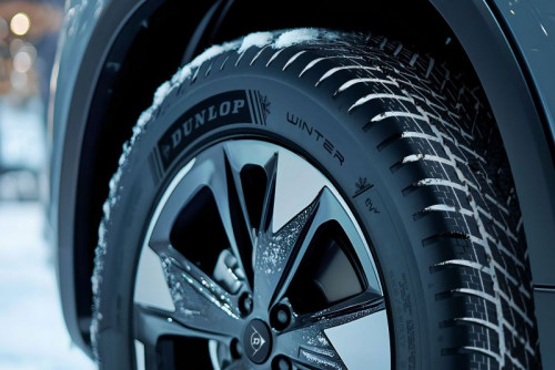 Dunlop Winter - Заображення 2