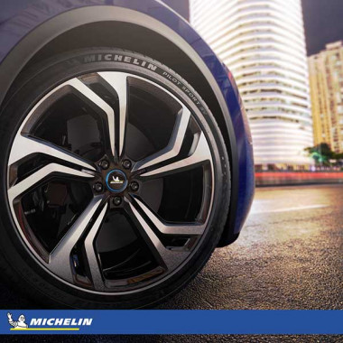 Michelin Pilot Sport EV 285/45 R20 112W XL LS - Картинка 2