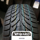 Зимові шини Paxaro Winter 205/55 R16 91T 
